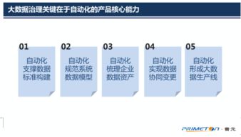 以自动化为核心的自服务大数据治理——普元王轩在第二届数据标准化及治理大会上的分享